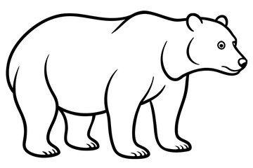 Obraz premium vector illustration of a bear