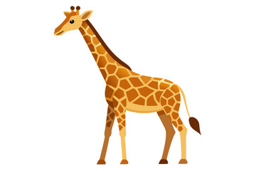 Fototapeta premium giraffe on white background