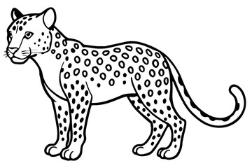 Fototapeta premium leopard vector illustration