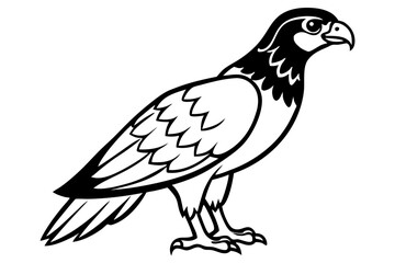 Fototapeta premium Eagle vector illustration