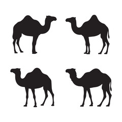 Four Black Camel Silhouettes on White Background