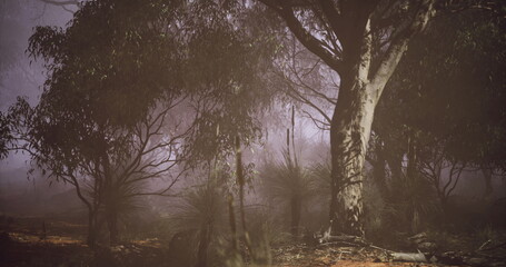 A dense forest shrouded in mist features tall trees and varied underbrush. Soft morning light filters through the foliage, creating an ethereal atmosphere. Nature reveals its serene beauty.