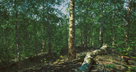 Sunlight gently filters through the dense canopy of a lush forest, illuminating the green underbrush and a fallen log. The tranquility of nature is palpable in this serene environment.