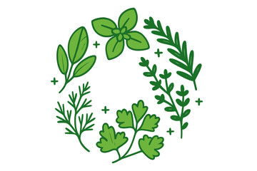 Fresh green culinary herbs and spices arranged in a decorative circular pattern