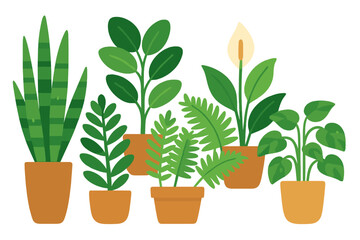 Obraz premium Collection of Various Green Potted Houseplants for Indoor Home Decoration and Gardening