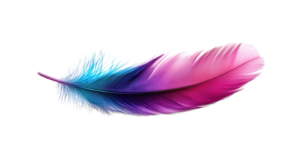 Colorful Feather with Gradient on Transparent Background