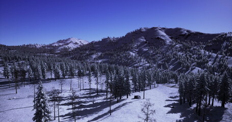 A serene winter morning unfolds in a remote mountain area, where snow blankets the ground. Pine trees stand tall, casting long shadows across the white landscape, creating a peaceful scene.