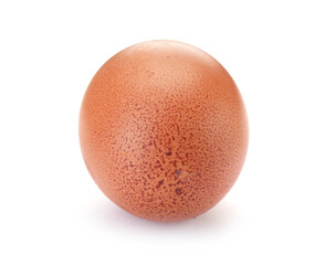 One raw chicken egg isolated on white
