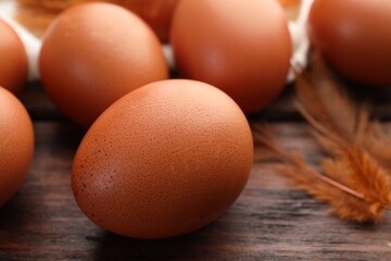 Raw chicken eggs and feathers on wooden table, closeup