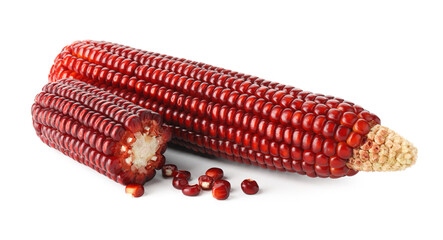 Ripe red corn cobs isolated on white
