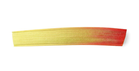 One fresh rhubarb stalk isolated on white, top view