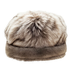 Obraz premium Luxurious fur hat with detailed texture isolated on white background