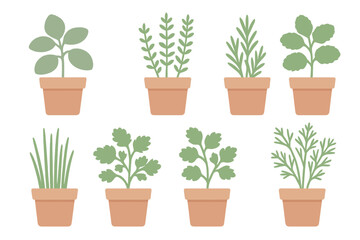 Obraz premium Collection of potted herbs and green plants for home gardening and cooking