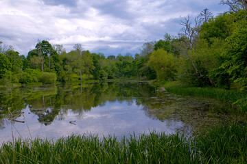 Peaceful Forest Lake with Lush Greenery and Cloudy Sky Reflections on a Calm Spring Afternoon, Serene Nature Landscape Captured at Eye Level with Still Water and Vibrant Trees