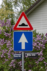 European Road Signs Showing Bump Ahead and Straight Direction with Lilac Blossoms in Background