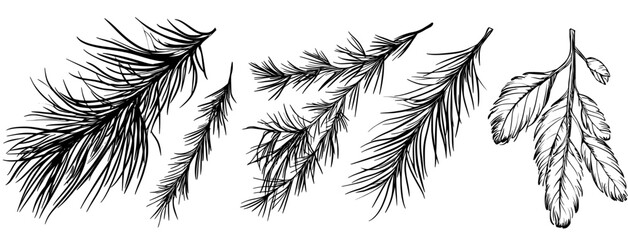 This set features exotic palm leaves in a distinctive, tropical style that blends bold, grunge-inspired doodles with the organic feel of hand-drawn brush work in ink