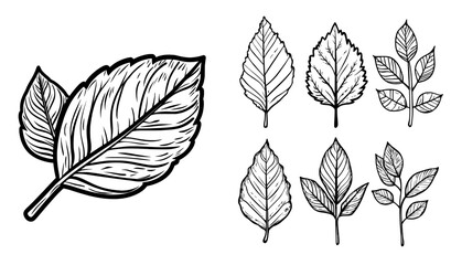 Black and white leaf silhouette icon designed for concepts related to ecology and design