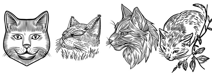 Obraz premium A sleek black cat silhouette serves as a sophisticated graphic design element for logos and illustrations