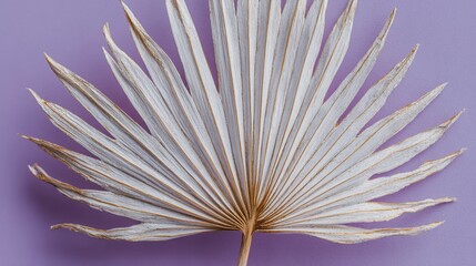 Naklejka premium Fan-shaped dry leaf with intricate veins against a soft purple backdrop