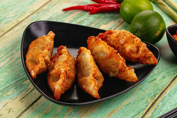Asian fried stuffed dumplings gyoza