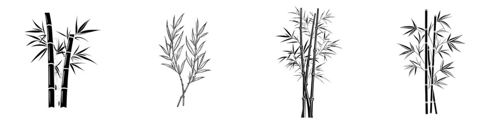 Fototapeta premium Bamboo is represented as a modern icon isolated on a white background