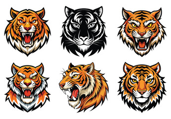 Obraz premium Set of vector tiger heads with stripes, featuring the face of the big wild cat predator