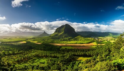 mauritius tropical countryside with rainforest