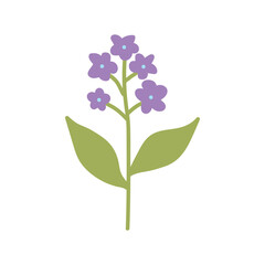  Cute hand drawn flower illustration