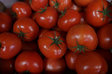 red tomatoes on the vine