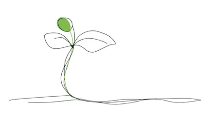 Sprouts Emergence: A Metaphor of Birth and New Beginnings