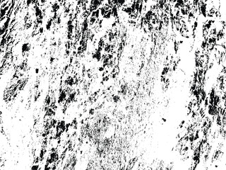 Creative grunge monochrome negative texture vector design