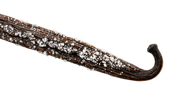 Vanilla Bean Pod with Crystallized Vanillin, Macro View of Aromatic Spice
