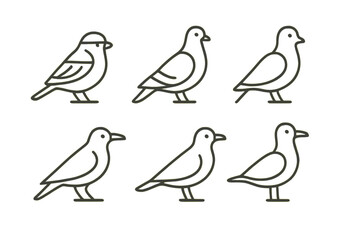 Obraz premium stylized black-and-white bird pigeons illustrations in a minimalist design with contour lines.