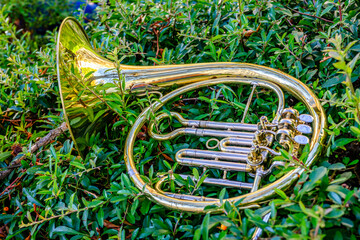 typical music instrument of a bavarian brass band
