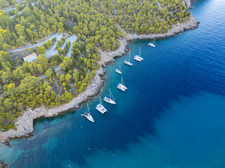 Aerial Drone View of Catamarans Moored Along the Forested Coastline at  Assos, Kefalonia, Greece