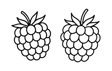 Raspberry Doodle style. Hand drawn black and white isolated icon. Coloring page, art therapy, line art, logotype. Vector illustration