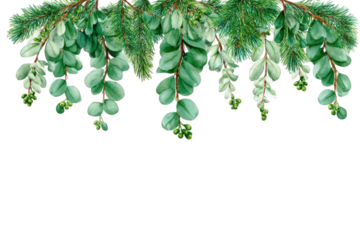 A beautiful watercolor illustration of eucalyptus branches and pine needles forming a festive garland, isolated on a transparent background, perfect for holiday and winter designs