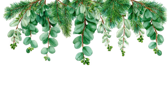 A beautiful watercolor illustration of eucalyptus branches and pine needles forming a festive garland, isolated on a transparent background, perfect for holiday and winter designs