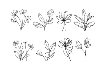 Elegant botanical line art designs for modern print projects