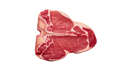 Isolated T-bone steak for grilling preparation, uncooked marbled beef cut, raw porterhouse
