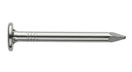 Isolated metal common nail for construction projects on the carpenter's workbench or tool box
