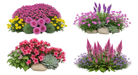 Isolated four flower arrangements, beautiful blossom, floral still life, summer garden flowers