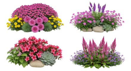Isolated four flower arrangements, beautiful blossom, floral still life, summer garden flowers