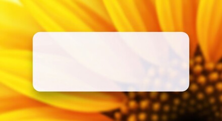 A vibrant yellow sunflower with a white background and a rectangular white label in the center.