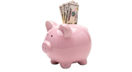 Isolated ceramic pink piggy bank with fifty dollar banknotes, saving money for the future
