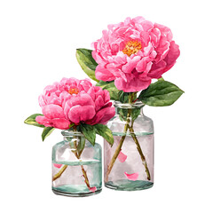 Vector illustration set, My Watercolor illustration, set of pink peonies in vases PNG. Bouquet of pink peony on vase, painting isolated on a white background, an EPS painting design, 