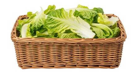 Isolated Romaine lettuce heads in a woven basket sit, ready for salad or use, healthy food