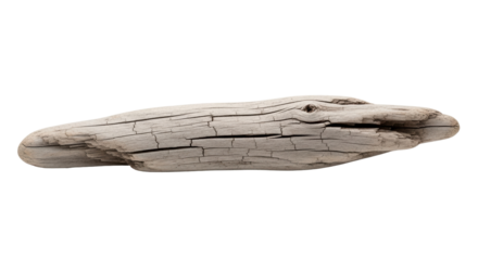 Isolated weathered driftwood casting a shadow on a neutral surface for crafts and design