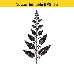 Naklejka premium Vector art of black silhouette of a plant with leaves and seeds