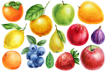 Watercolor Fruits Collection. Apple Pear Lemon Orange Mango Pomegranate and Persimmon. Fig, Peach, Strawberry Blueberry Clipart